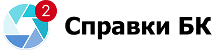 светлый логотип Справки БК